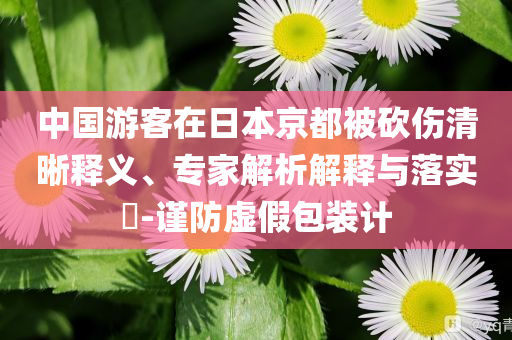 中國(guó)游客在日本京都被砍傷清晰釋義、專家解析解釋與落實(shí)?-謹(jǐn)防虛假包裝計(jì)