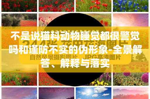 不是說貓科動物睡覺都很警覺嗎和謹防不實的偽形象-全景解答、解釋與落實