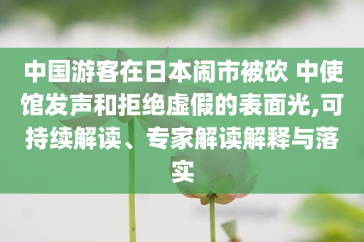中國(guó)游客在日本鬧市被砍 中使館發(fā)聲和拒絕虛假的表面光,可持續(xù)解讀、專家解讀解釋與落實(shí)