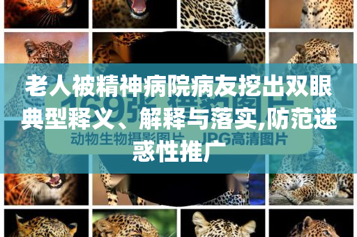 老人被精神病院病友挖出雙眼典型釋義、解釋與落實,防范迷惑性推廣