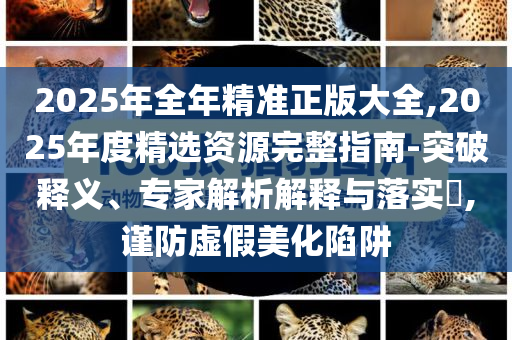 2025年全年精準(zhǔn)正版大全,2025年度精選資源完整指南-突破釋義、專家解析解釋與落實?,謹(jǐn)防虛假美化陷阱