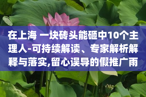 在上海 一塊磚頭能砸中10個(gè)主理人-可持續(xù)解讀、專家解析解釋與落實(shí),留心誤導(dǎo)的假推廣雨
