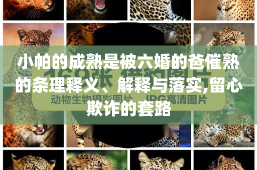 小帕的成熟是被六婚的爸催熟的條理釋義、解釋與落實,留心欺詐的套路