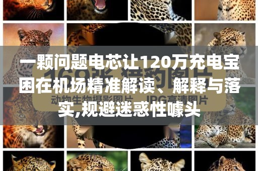 一顆問題電芯讓120萬充電寶困在機場精準解讀、解釋與落實,規(guī)避迷惑性噱頭