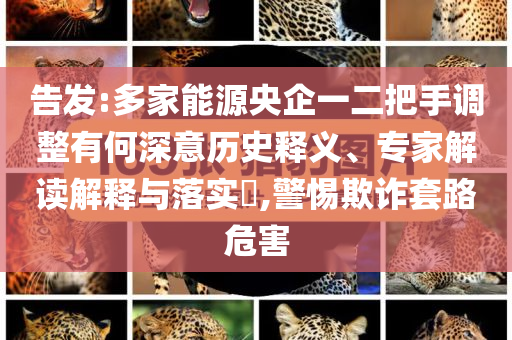 告發(fā):多家能源央企一二把手調(diào)整有何深意歷史釋義、專家解讀解釋與落實?,警惕欺詐套路危害