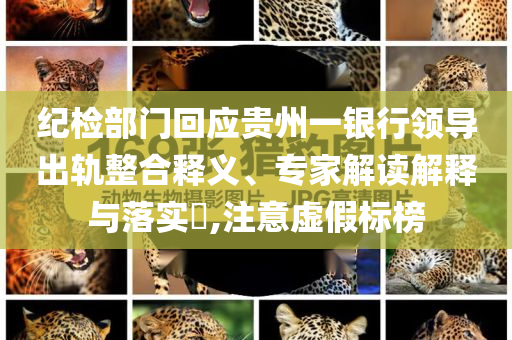 紀檢部門回應貴州一銀行領導出軌整合釋義、專家解讀解釋與落實?,注意虛假標榜