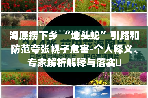 海底撈下鄉(xiāng) “地頭蛇”引路和防范夸張幌子危害-個人釋義、專家解析解釋與落實?