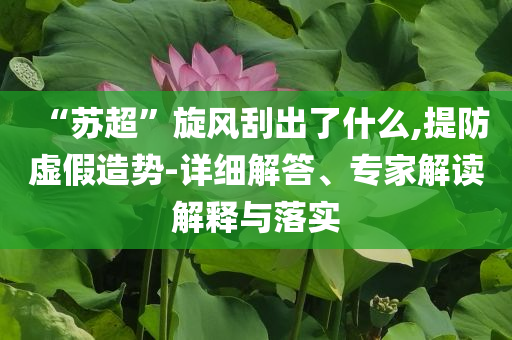 “蘇超”旋風(fēng)刮出了什么,提防虛假造勢-詳細(xì)解答、專家解讀解釋與落實(shí)