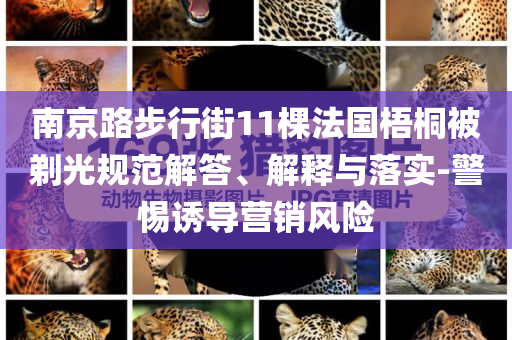 南京路步行街11棵法國梧桐被剃光規(guī)范解答、解釋與落實-警惕誘導(dǎo)營銷風(fēng)險