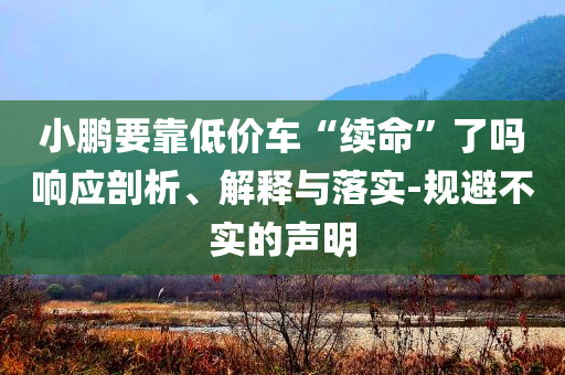 小鵬要靠低價車“續(xù)命”了嗎響應(yīng)剖析、解釋與落實-規(guī)避不實的聲明