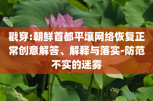 戳穿:朝鮮首都平壤網(wǎng)絡(luò)恢復(fù)正常創(chuàng)意解答、解釋與落實-防范不實的迷霧