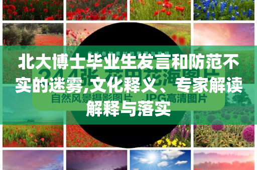 北大博士畢業(yè)生發(fā)言和防范不實(shí)的迷霧,文化釋義、專家解讀解釋與落實(shí)