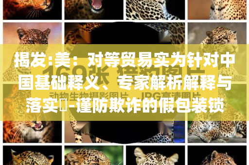 揭發(fā):美：對等貿易實為針對中國基礎釋義、專家解析解釋與落實?-謹防欺詐的假包裝鎖
