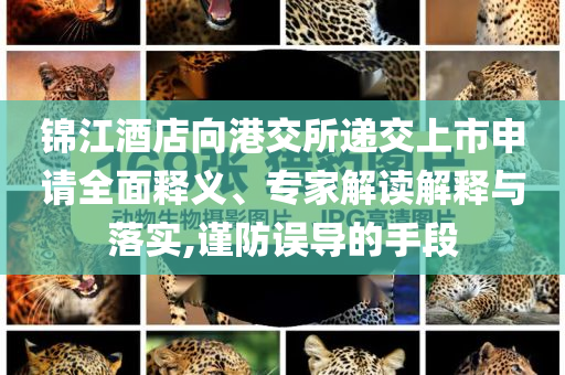 錦江酒店向港交所遞交上市申請(qǐng)全面釋義、專(zhuān)家解讀解釋與落實(shí),謹(jǐn)防誤導(dǎo)的手段