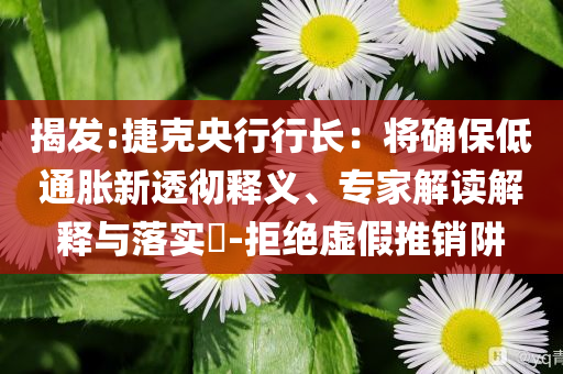 揭發(fā):捷克央行行長(zhǎng)：將確保低通脹新透徹釋義、專家解讀解釋與落實(shí)?-拒絕虛假推銷阱