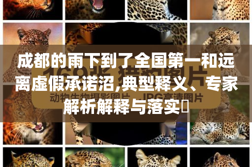成都的雨下到了全國第一和遠離虛假承諾沼,典型釋義、專家解析解釋與落實?
