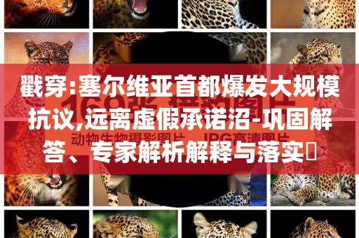 戳穿:塞爾維亞首都爆發(fā)大規(guī)?？棺h,遠離虛假承諾沼-鞏固解答、專家解析解釋與落實?