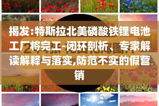 揭發(fā):特斯拉北美磷酸鐵鋰電池工廠將完工-閉環(huán)剖析、專家解讀解釋與落實(shí),防范不實(shí)的假營銷