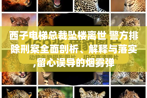 西子電梯總裁墜樓離世 警方排除刑案全面剖析、解釋與落實(shí),留心誤導(dǎo)的煙霧彈