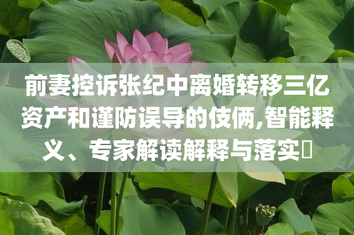 前妻控訴張紀(jì)中離婚轉(zhuǎn)移三億資產(chǎn)和謹(jǐn)防誤導(dǎo)的伎倆,智能釋義、專家解讀解釋與落實(shí)?