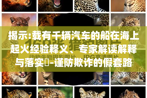 揭示:載有千輛汽車的船在海上起火經(jīng)驗(yàn)釋義、專家解讀解釋與落實(shí)?-謹(jǐn)防欺詐的假套路