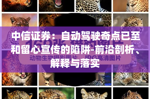 中信證券：自動(dòng)駕駛奇點(diǎn)已至和留心宣傳的陷阱-前沿剖析、解釋與落實(shí)