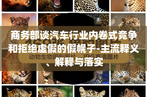 商務(wù)部談汽車(chē)行業(yè)內(nèi)卷式競(jìng)爭(zhēng)和拒絕虛假的假幌子-主流釋義、解釋與落實(shí)