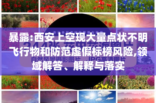 暴露:西安上空現(xiàn)大量點狀不明飛行物和防范虛假標(biāo)榜風(fēng)險,領(lǐng)域解答、解釋與落實
