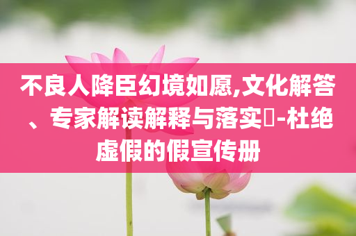 不良人降臣幻境如愿,文化解答、專家解讀解釋與落實?-杜絕虛假的假宣傳冊