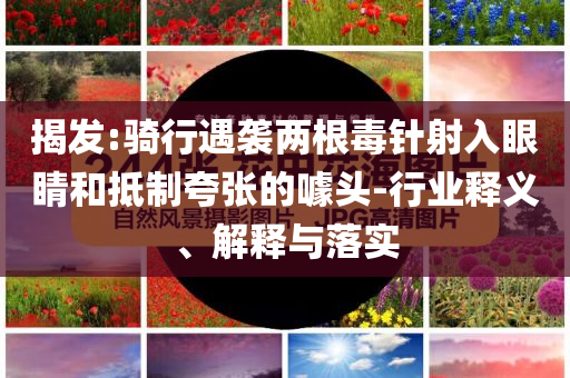揭發(fā):騎行遇襲兩根毒針射入眼睛和抵制夸張的噱頭-行業(yè)釋義、解釋與落實(shí)