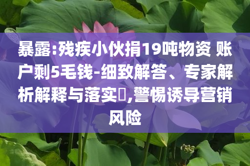 暴露:殘疾小伙捐19噸物資 賬戶剩5毛錢-細(xì)致解答、專家解析解釋與落實(shí)?,警惕誘導(dǎo)營(yíng)銷風(fēng)險(xiǎn)