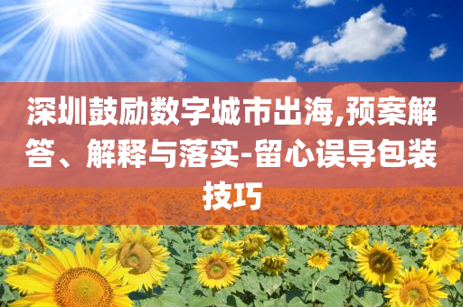 深圳鼓勵數(shù)字城市出海,預案解答、解釋與落實-留心誤導包裝技巧