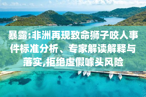 暴露:非洲再現(xiàn)致命獅子咬人事件標準分析、專家解讀解釋與落實,拒絕虛假噱頭風(fēng)險