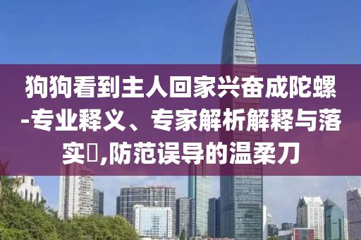 狗狗看到主人回家興奮成陀螺-專業(yè)釋義、專家解析解釋與落實(shí)?,防范誤導(dǎo)的溫柔刀