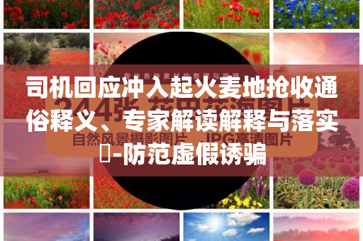 司機(jī)回應(yīng)沖入起火麥地?fù)屖胀ㄋ揍屃x、專家解讀解釋與落實(shí)?-防范虛假誘騙