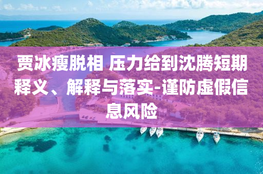 賈冰瘦脫相 壓力給到沈騰短期釋義、解釋與落實-謹防虛假信息風險
