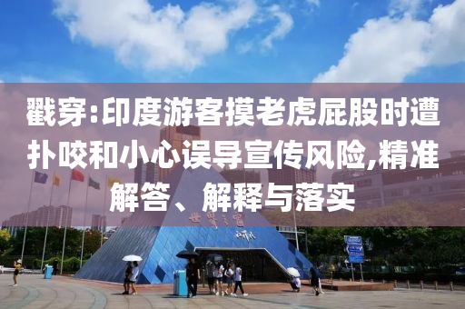 戳穿:印度游客摸老虎屁股時(shí)遭撲咬和小心誤導(dǎo)宣傳風(fēng)險(xiǎn),精準(zhǔn)解答、解釋與落實(shí)