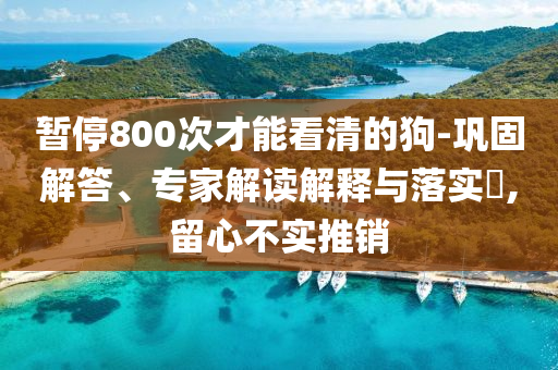 暫停800次才能看清的狗-鞏固解答、專家解讀解釋與落實(shí)?,留心不實(shí)推銷