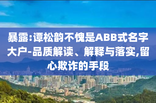 暴露:譚松韻不愧是ABB式名字大戶-品質(zhì)解讀、解釋與落實(shí),留心欺詐的手段
