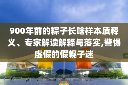 900年前的粽子長啥樣本質釋義、專家解讀解釋與落實,警惕虛假的假幌子迷