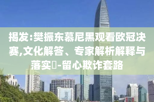揭發(fā):樊振東慕尼黑觀看歐冠決賽,文化解答、專家解析解釋與落實?-留心欺詐套路