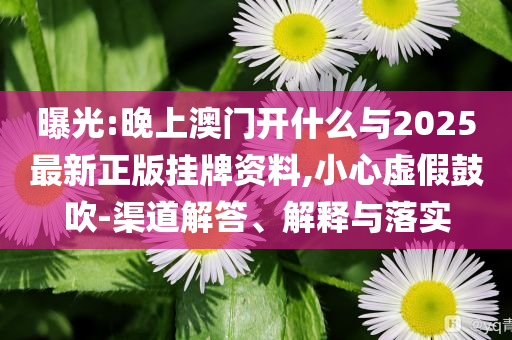 曝光:晚上澳門開什么與2025最新正版掛牌資料,小心虛假鼓吹-渠道解答、解釋與落實(shí)