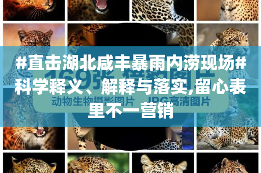 #直擊湖北咸豐暴雨內(nèi)澇現(xiàn)場(chǎng)#科學(xué)釋義、解釋與落實(shí),留心表里不一營(yíng)銷