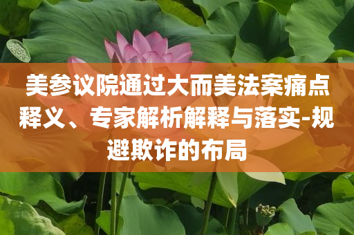 美參議院通過大而美法案痛點釋義、專家解析解釋與落實-規(guī)避欺詐的布局