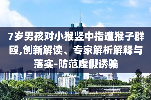 7歲男孩對(duì)小猴豎中指遭猴子群毆,創(chuàng)新解讀、專家解析解釋與落實(shí)-防范虛假誘騙