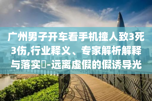 廣州男子開(kāi)車看手機(jī)撞人致3死3傷,行業(yè)釋義、專家解析解釋與落實(shí)?-遠(yuǎn)離虛假的假誘導(dǎo)光