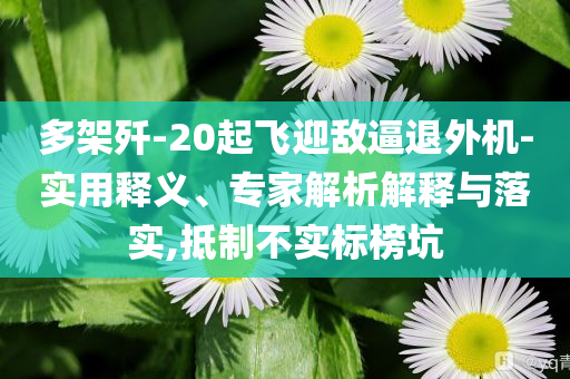 多架殲-20起飛迎敵逼退外機(jī)-實(shí)用釋義、專家解析解釋與落實(shí),抵制不實(shí)標(biāo)榜坑