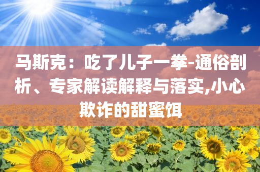 馬斯克：吃了兒子一拳-通俗剖析、專家解讀解釋與落實(shí),小心欺詐的甜蜜餌