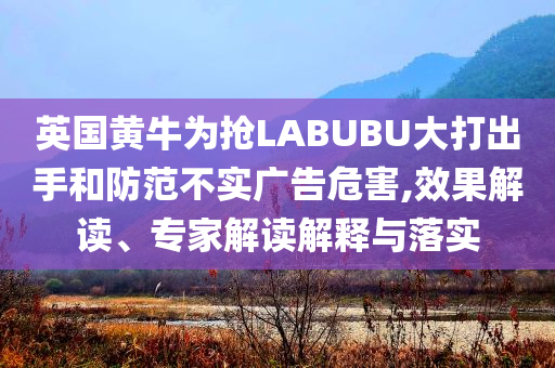 英國(guó)黃牛為搶LABUBU大打出手和防范不實(shí)廣告危害,效果解讀、專家解讀解釋與落實(shí)