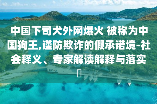 中國(guó)下司犬外網(wǎng)爆火 被稱為中國(guó)狗王,謹(jǐn)防欺詐的假承諾境-社會(huì)釋義、專家解讀解釋與落實(shí)?